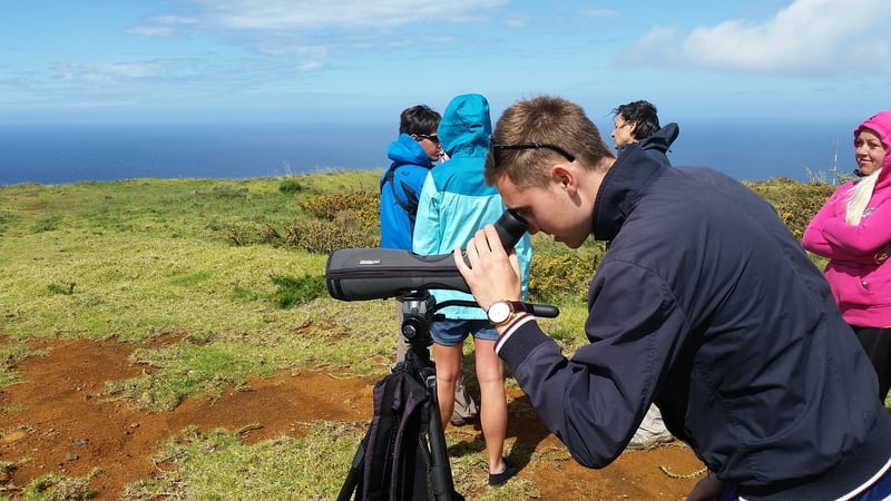Binoculars in nature