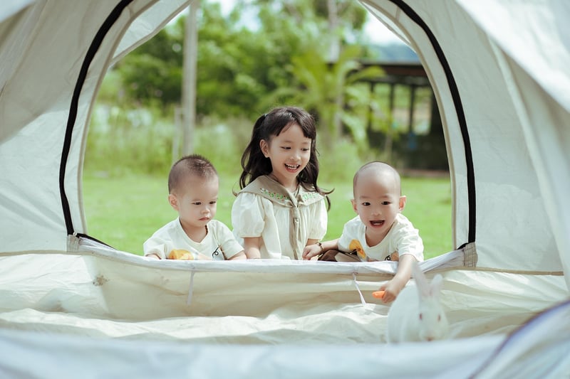 Starry Night Camping Tent